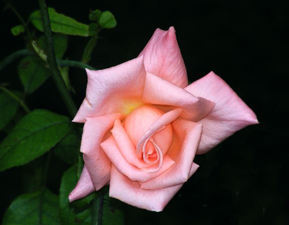 New Zealand photo nz2013_07310016_zps03615e89.jpg